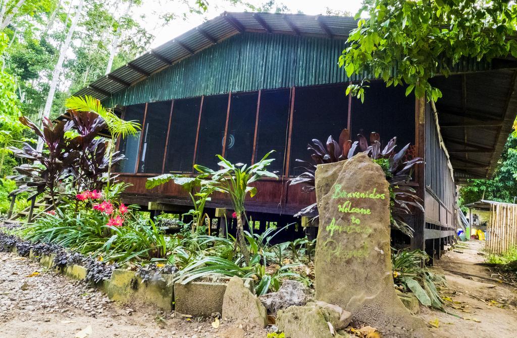 Hotel Amazon Planet à Tambopata Extérieur photo