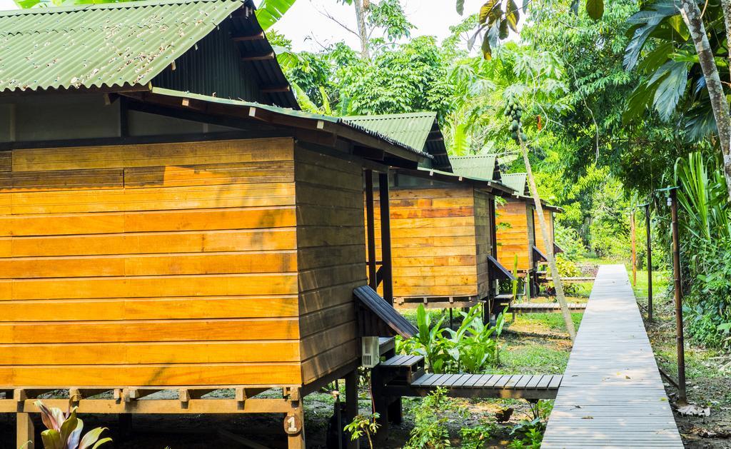 Hotel Amazon Planet à Tambopata Extérieur photo