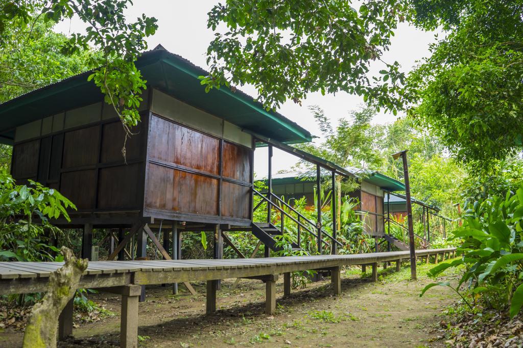 Hotel Amazon Planet à Tambopata Extérieur photo