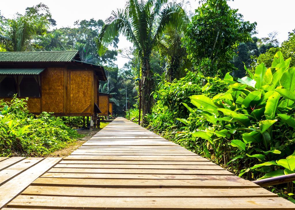 Hotel Amazon Planet à Tambopata Extérieur photo